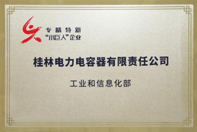 ���Ҽ���ר�����¡��ص�С������ҵ